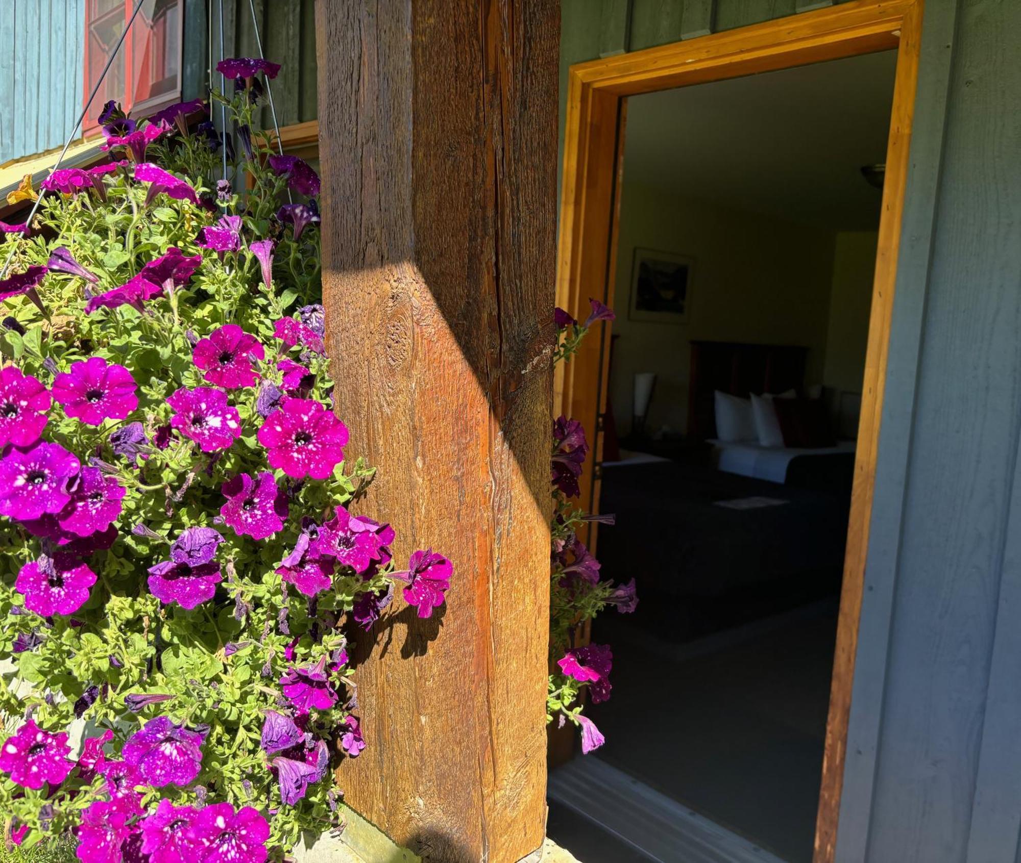 Truffle Pigs Lodge Field Exterior foto