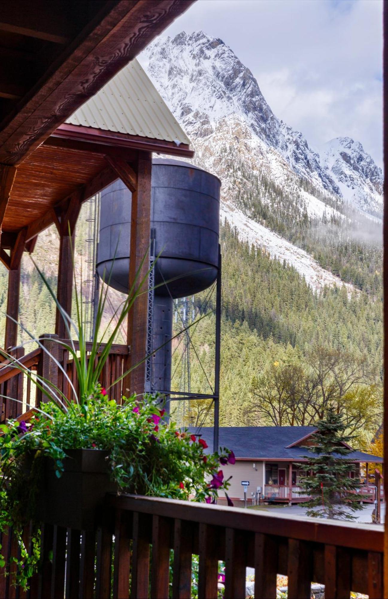 Truffle Pigs Lodge Field Exterior foto