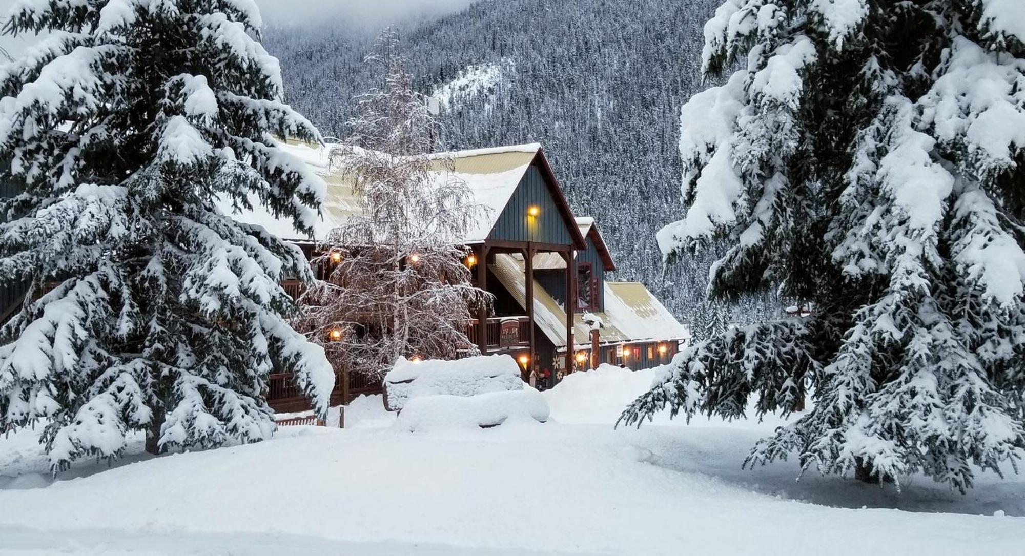 Truffle Pigs Lodge Field Exterior foto